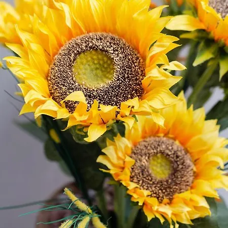 Pensjonat Alessia 3*