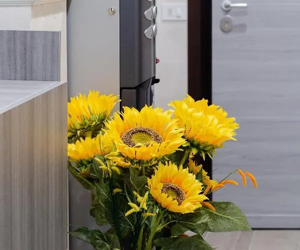 בית הארחה Alessia